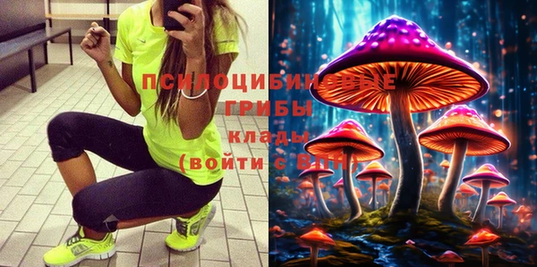 не бодяженный Алексин
